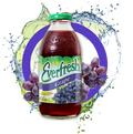 Everfresh Grape Juice 16oz Bottle